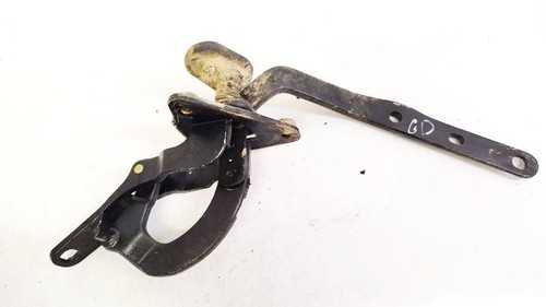 Hood hinges rear - ,